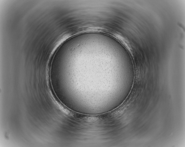X0000096431235200802071718