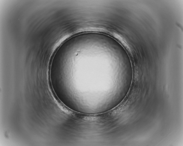 X0000096431237200802071718
