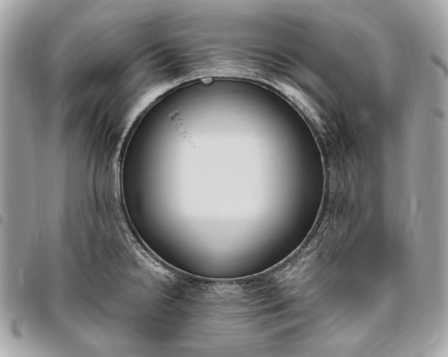 X0000096431238200802071718