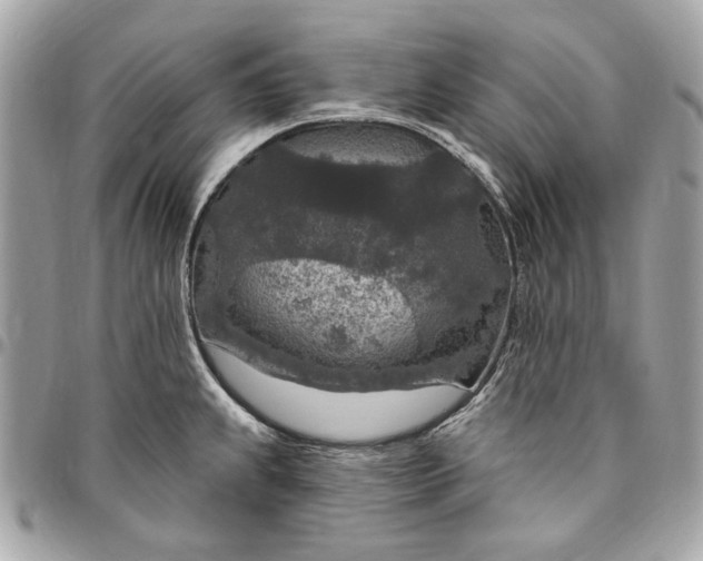 X0000096431239200802071718