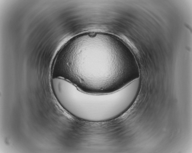 X0000096431240200802071718