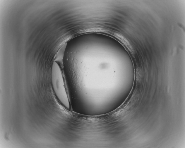 X0000096431241200802071718