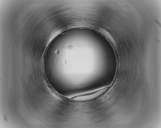 X0000096431242200802071718