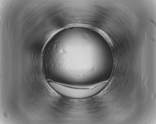 X0000096431244200802071718