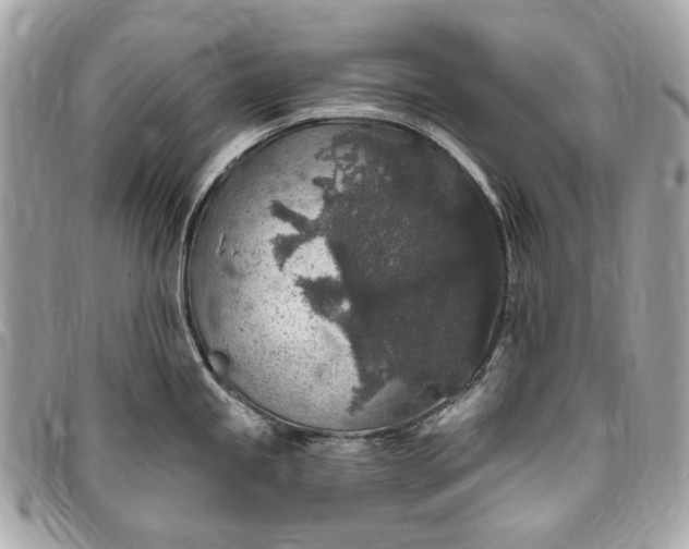 X0000096431245200802071718