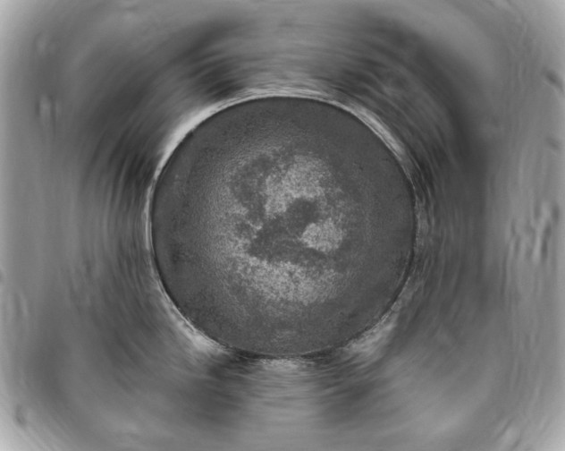 X0000096431246200802071718