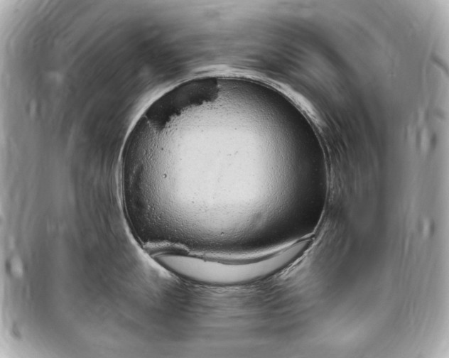 X0000096431247200802071718