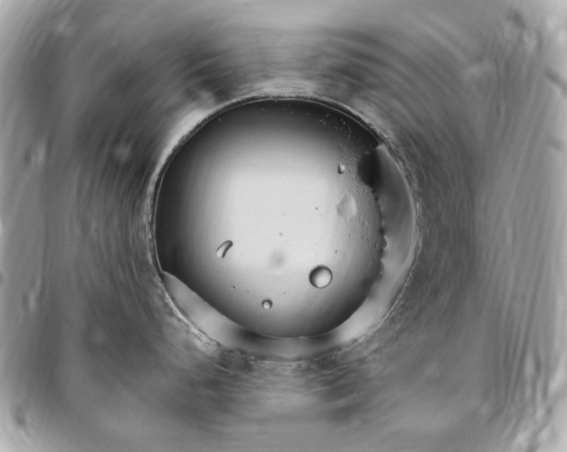 X0000096431248200802071718