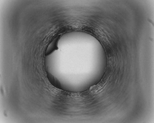 X0000096431249200802071717