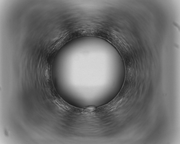 X0000096431250200802071717