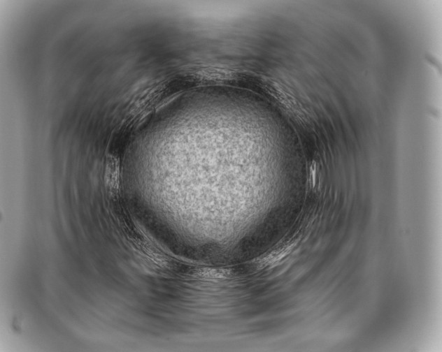 X0000096431251200802071717