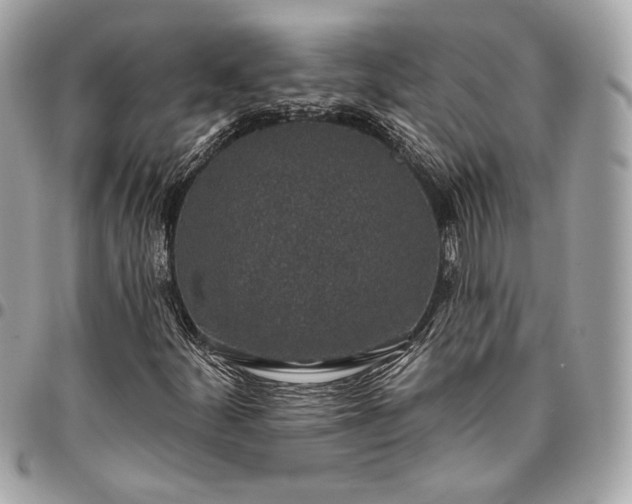 X0000096431252200802071717