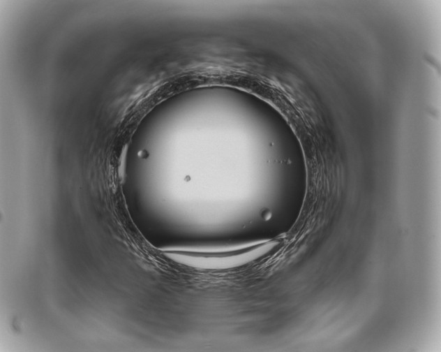 X0000096431253200802071717