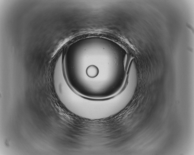 X0000096431256200802071717