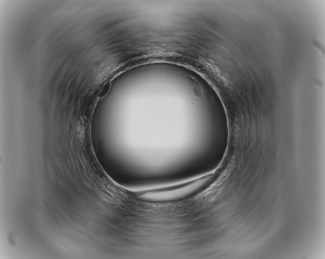 X0000096431257200802071717