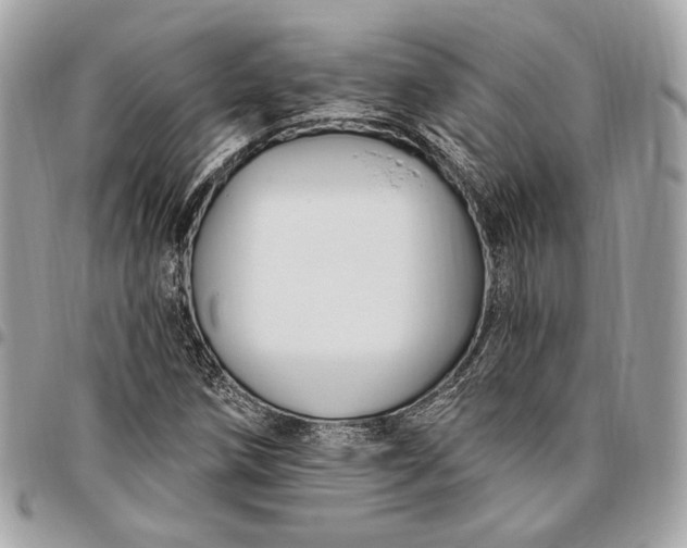 X0000096431258200802071717