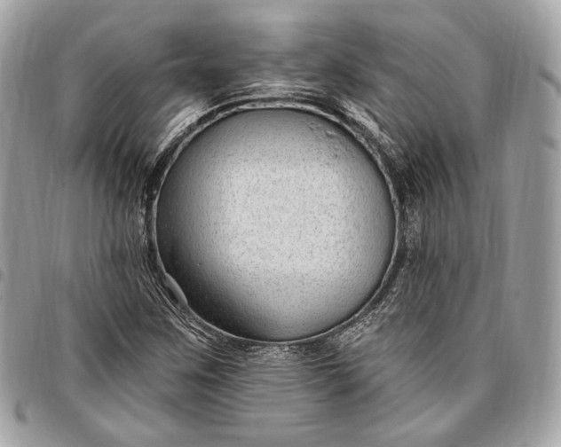 X0000096431259200802071717
