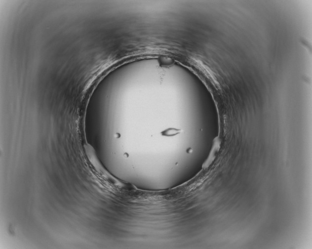 X0000096431260200802071717