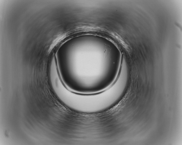 X0000096431261200802071717