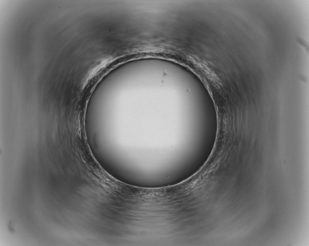 X0000096431262200802071717