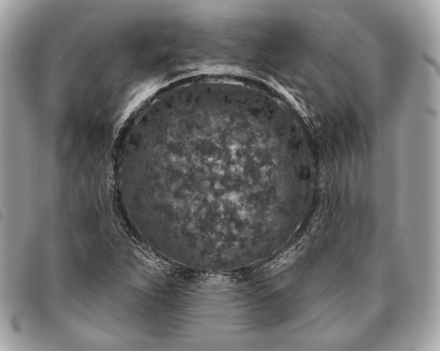 X0000096431263200802071717