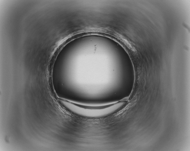 X0000096431264200802071717