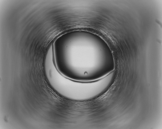 X0000096431265200802071717