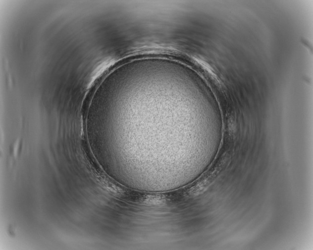 X0000096431267200802071717