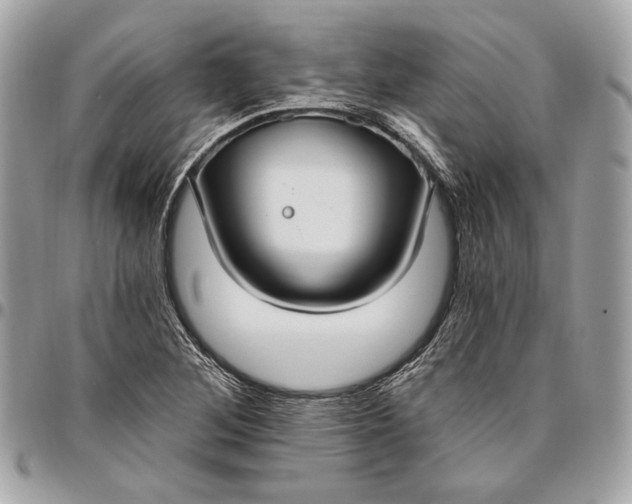 X0000096431268200802071717