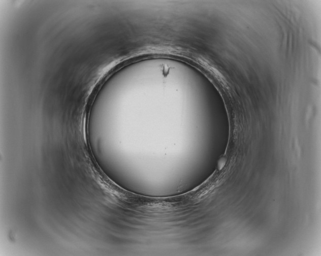X0000096431272200802071717