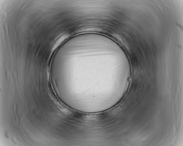 X0000096431274200802071717
