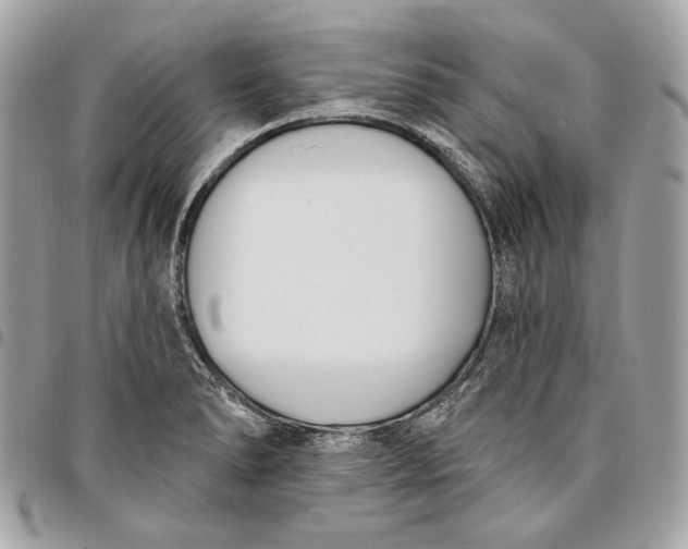 X0000096431278200802071717