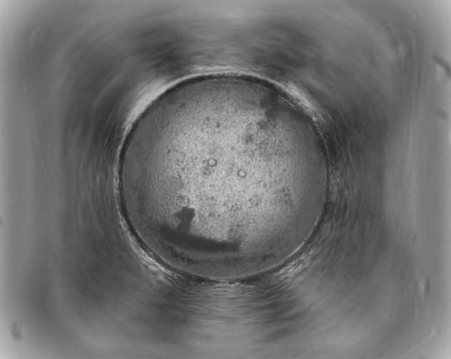 X0000096431279200802071717