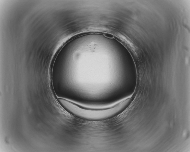 X0000096431280200802071717