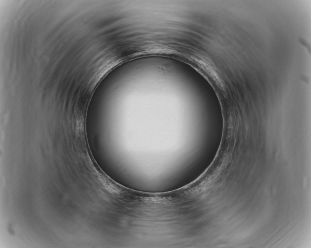 X0000096431281200802071717