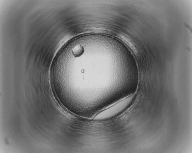 X0000096431283200802071717