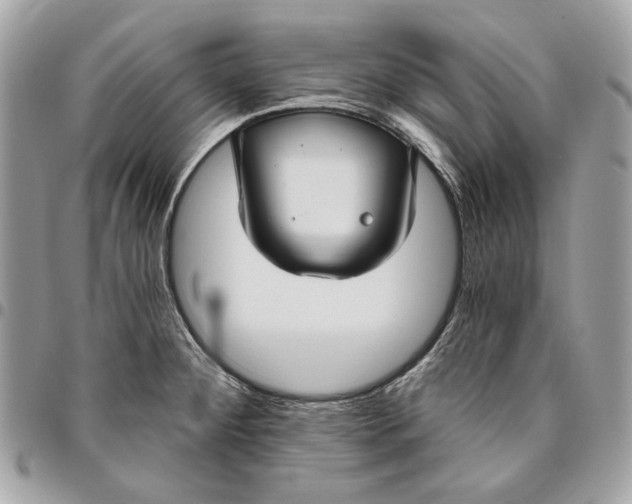 X0000096431284200802071717