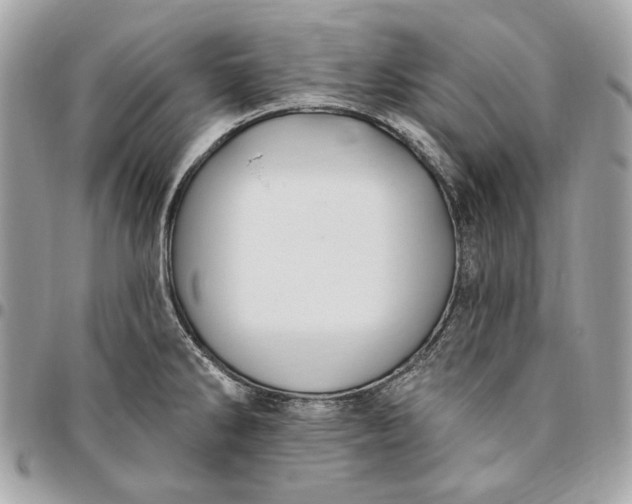 X0000096431286200802071717