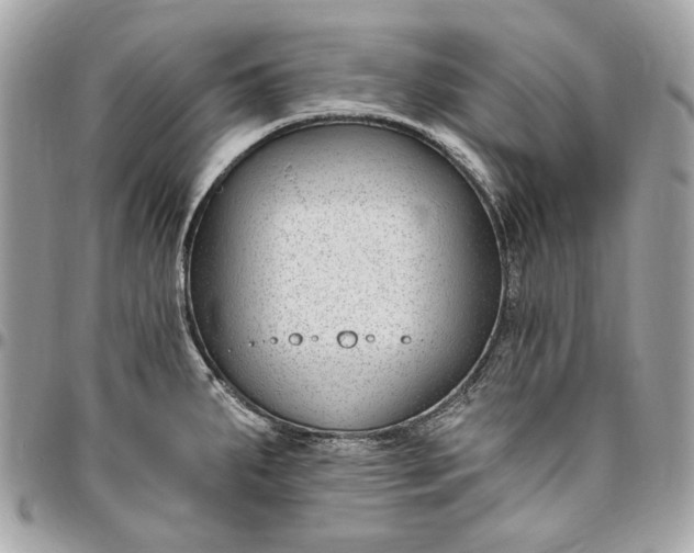 X0000096431287200802071717