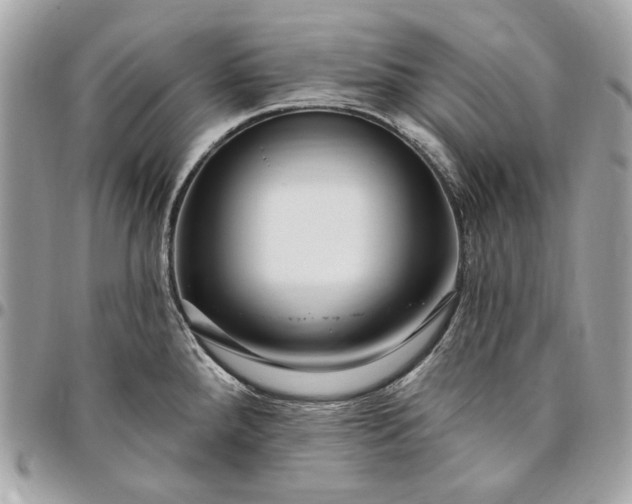 X0000096431288200802071717