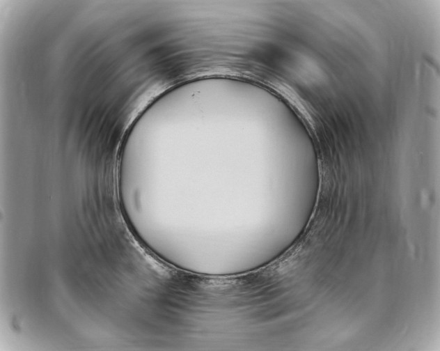 X0000096431290200802071717