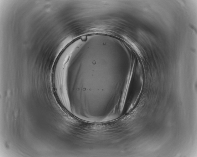 X0000096431291200802071717