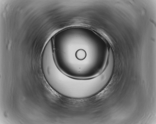 X0000096431292200802071717