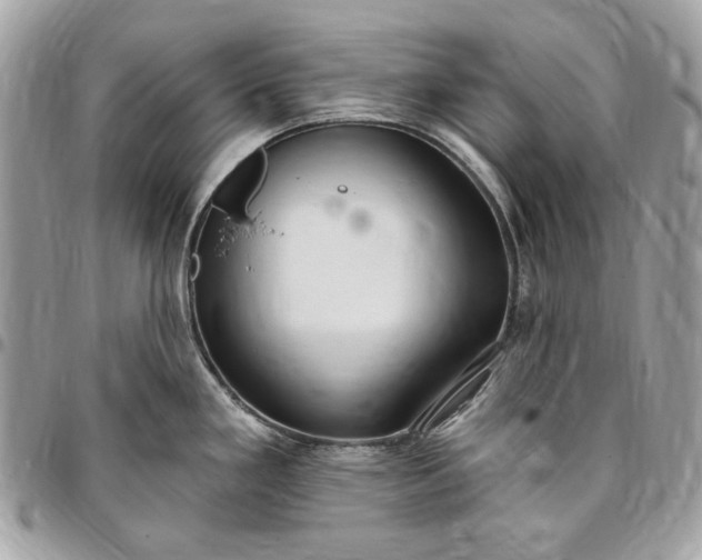 X0000096431293200802071717