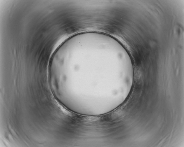 X0000096431294200802071717