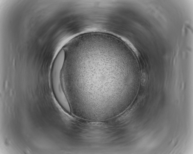 X0000096431295200802071717