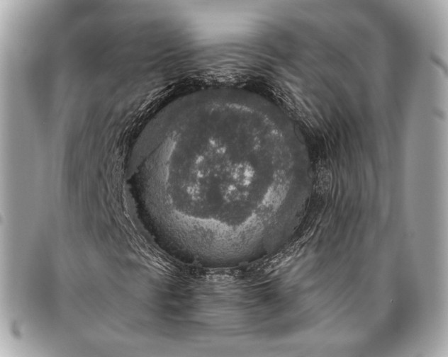 X0000096431297200802071716