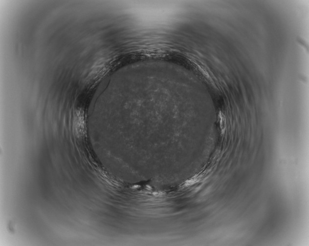 X0000096431298200802071716