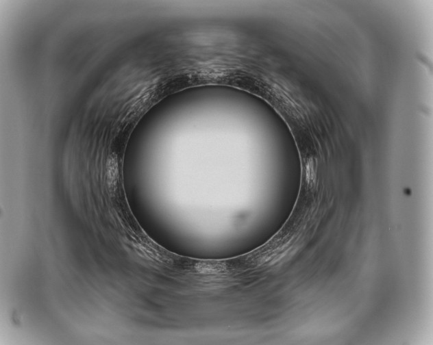 X0000096431299200802071716