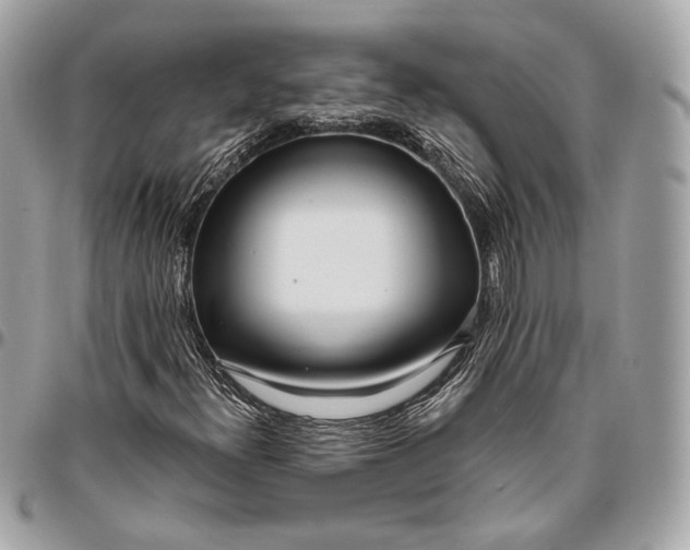 X0000096431300200802071716